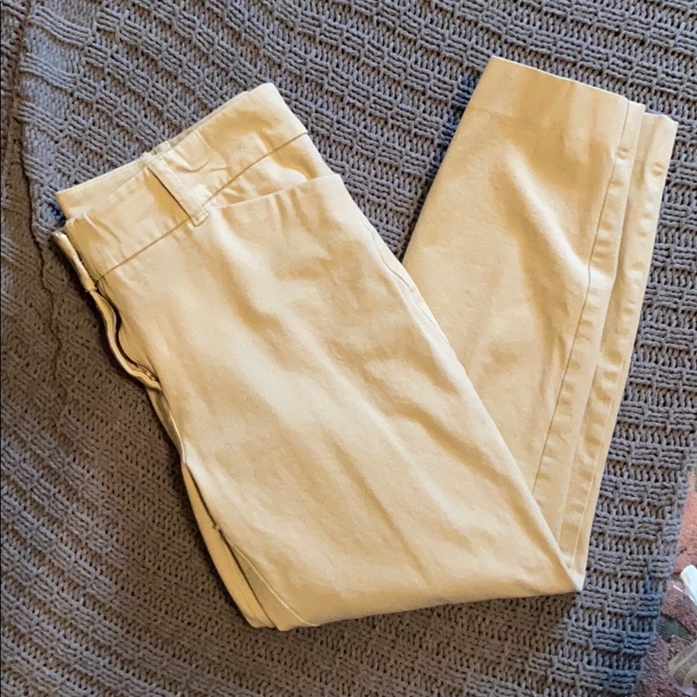 Size 12 crop pants